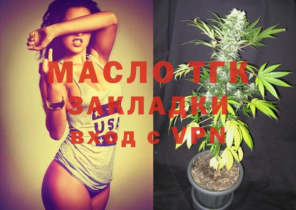 мдпв Инта
