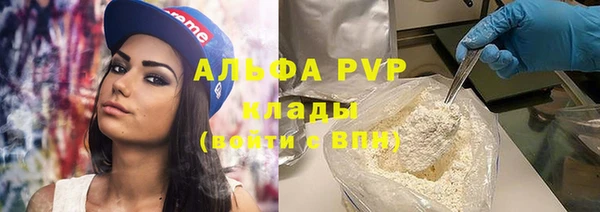 прущие грибы Иннополис