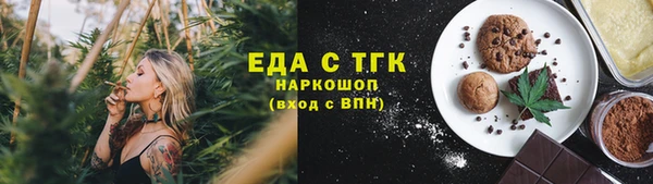 мдпв Инта