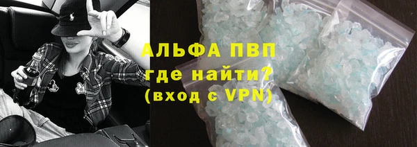 прущие грибы Иннополис
