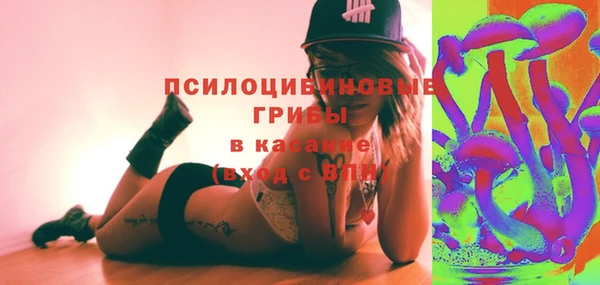 прущие грибы Иннополис
