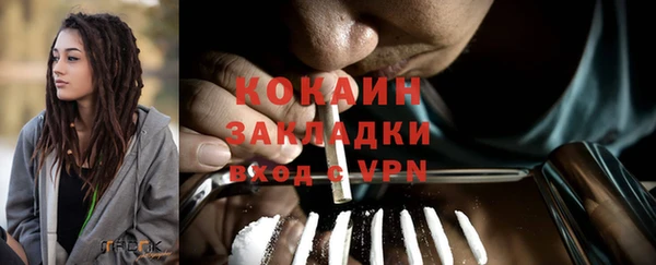 прущие грибы Иннополис
