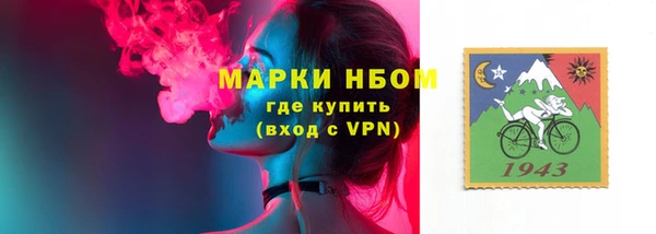 мдпв Инта