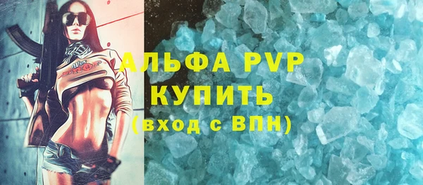 эйфоретик Каменногорск