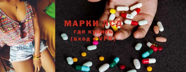 мдпв Инта