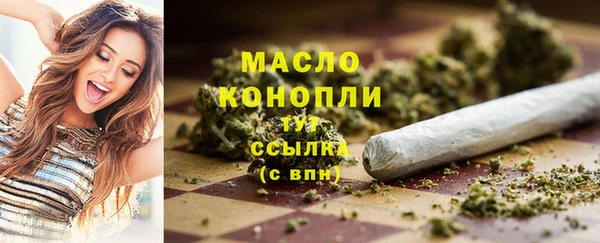 mdpv Инсар