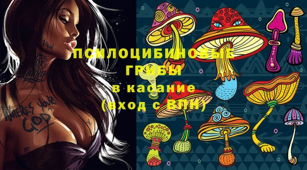 прущие грибы Иннополис