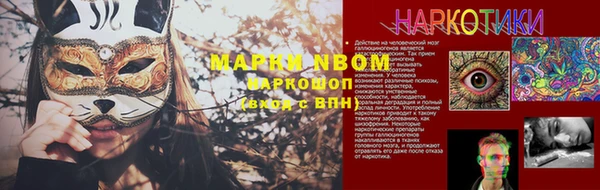 прущие грибы Иннополис