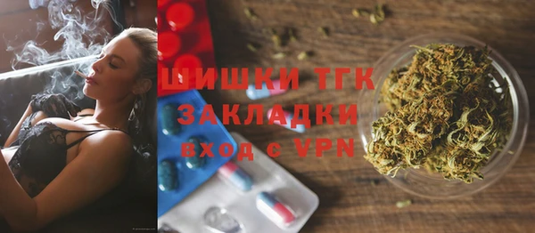mdpv Инсар